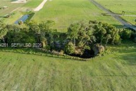 Immobilier commercial à vendre à LaBelle, Floride № 2068420 - photo 6