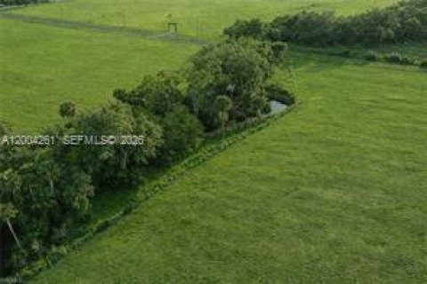 Immobilier commercial à vendre à LaBelle, Floride № 2068420 - photo 11