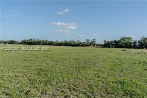 Immobilier commercial à vendre à LaBelle, Floride № 2068420 - photo 5