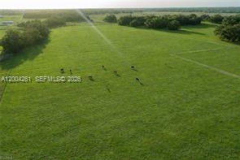 Immobilier commercial à vendre à LaBelle, Floride № 2068420 - photo 10