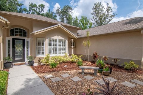 House in Valrico, Florida 3 bedrooms, 179.39 sq.m. № 1760629 - photo 3