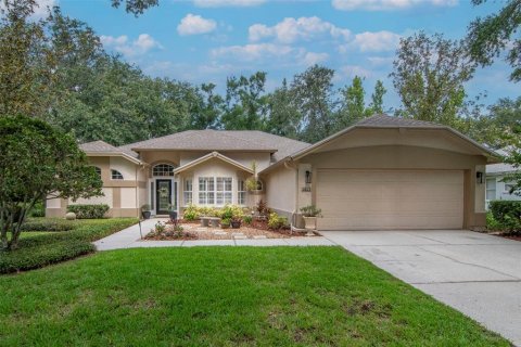 House in Valrico, Florida 3 bedrooms, 179.39 sq.m. № 1760629 - photo 1