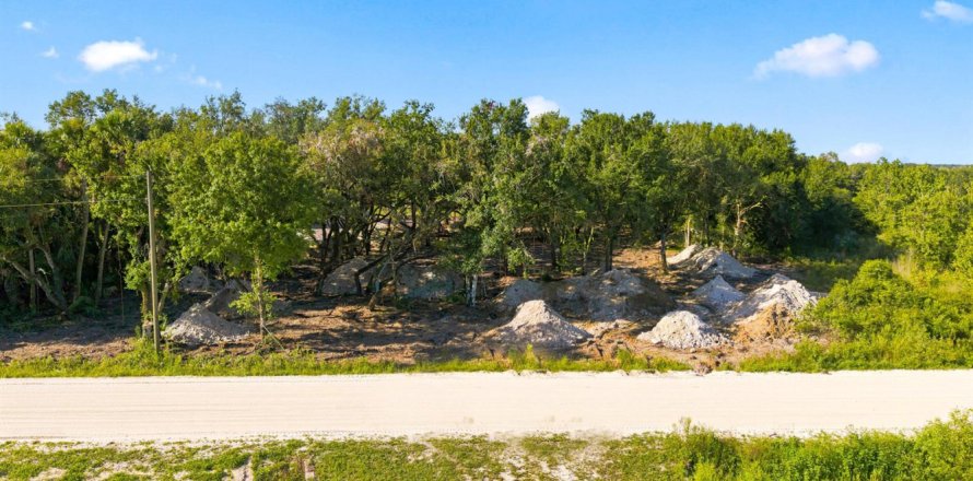 Commercial property in Okeechobee, Florida № 2247630