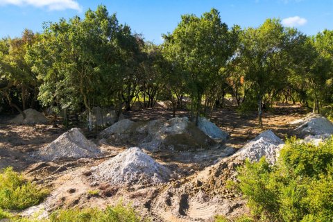Commercial property in Okeechobee, Florida № 2247630 - photo 3