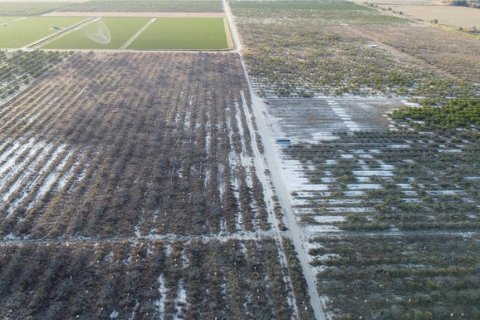 Terreno en venta en Frostproof, Florida № 2098131 - foto 7