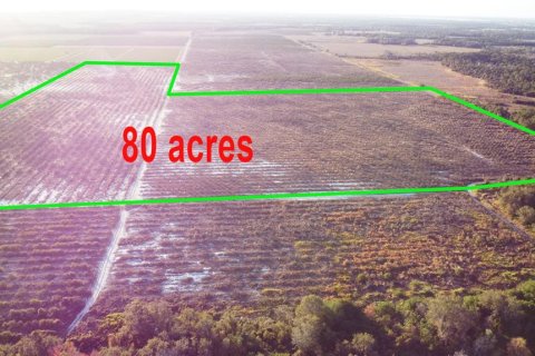 Terreno en venta en Frostproof, Florida № 2098131 - foto 3