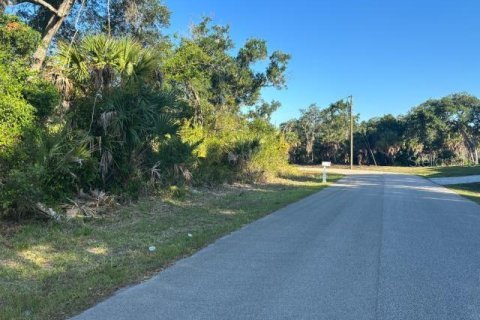 Land in North Port, Florida № 2164724 - photo 3