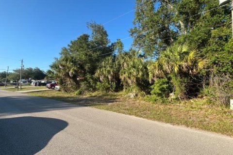 Land in North Port, Florida № 2164724 - photo 4