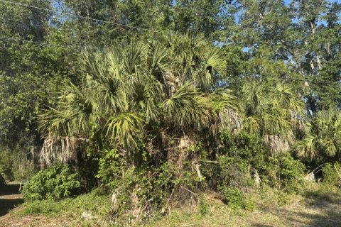 Land in North Port, Florida № 2164724 - photo 5