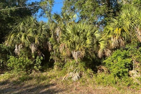 Land in North Port, Florida № 2164724