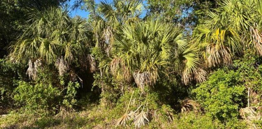 Land in North Port, Florida № 2164724