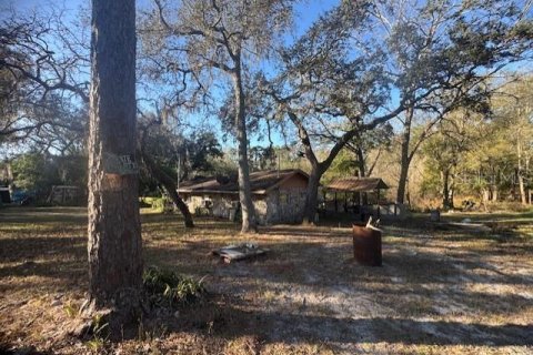 House in Webster, Florida 2 bedrooms, 67.26 sq.m. № 2139431