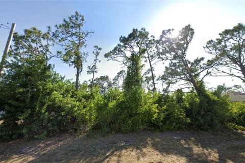 Land in Rotonda, Florida № 2158979 - photo 6