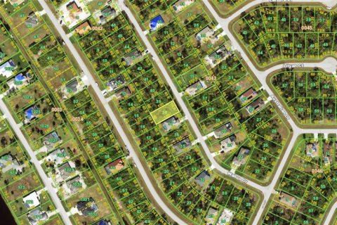 Land in Rotonda, Florida № 2158979 - photo 2