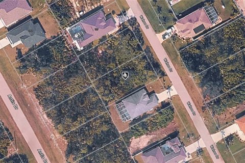 Land in Rotonda, Florida № 2158979 - photo 5