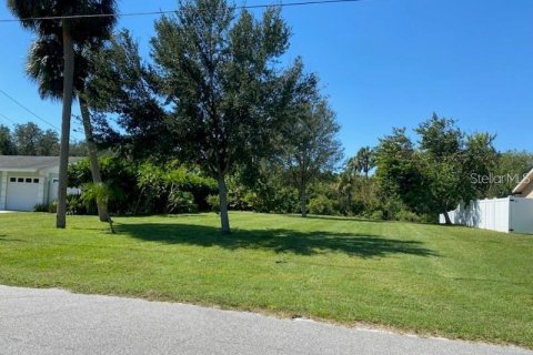 Land in Gibsonton, Florida № 1884148 - photo 17