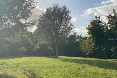Land in Gibsonton, Florida № 1884148 - photo 13