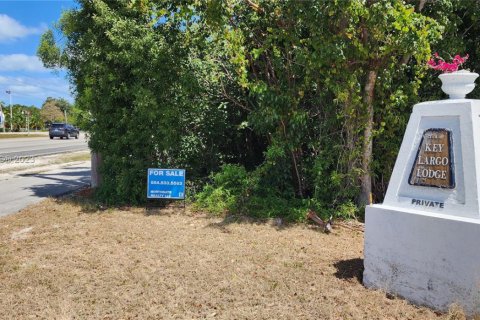 Купить земельный участок в Ки-Ларго, Флорида № 2029588 - фото 5