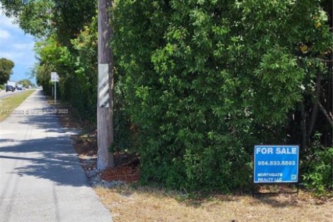 Купить земельный участок в Ки-Ларго, Флорида № 2029588 - фото 3