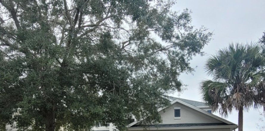 Villa ou maison à Jacksonville, Floride 4 chambres, 222.32 m2 № 889573