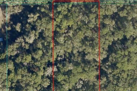 Land in Dunnellon, Florida № 2160427 - photo 3