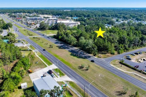 Land in Belleview, Florida № 1196810 - photo 4