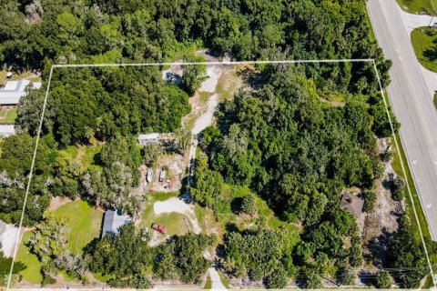 Land in Orange City, Florida № 218110 - photo 6
