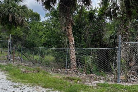 Land in Orange City, Florida № 218110 - photo 9