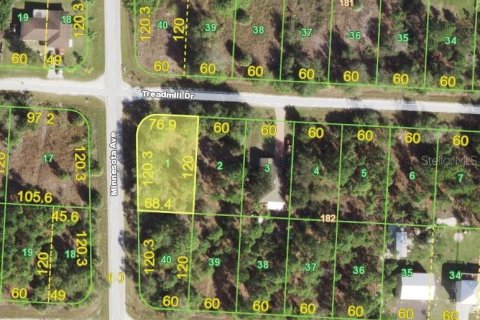 Land in Punta Gorda, Florida № 2163318