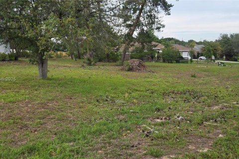 House in Ocala, Florida 3 bedrooms № 1684140 - photo 20