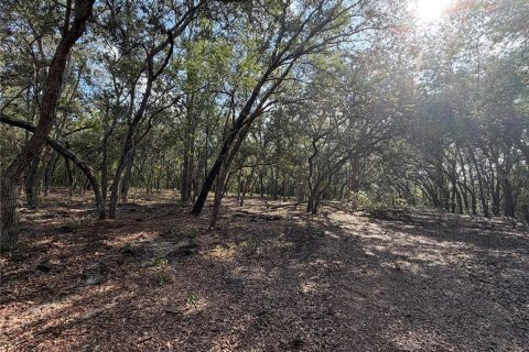 Land in Interlachen, Florida № 2199137