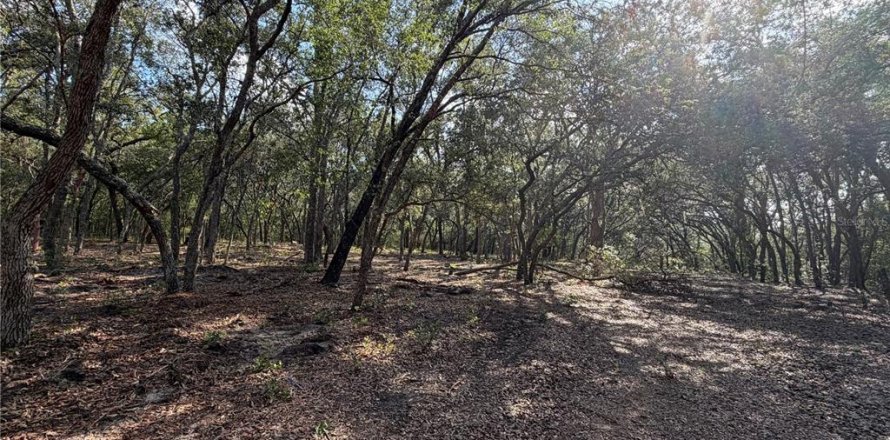 Land in Interlachen, Florida № 2199137