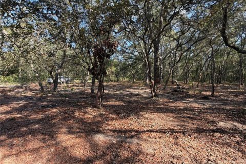 Land in Interlachen, Florida № 2199137 - photo 3