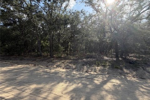 Land in Interlachen, Florida № 2199137 - photo 5