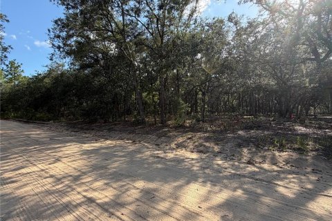 Land in Interlachen, Florida № 2199137 - photo 4