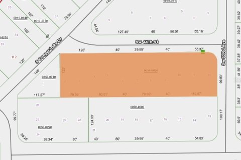 Land in Interlachen, Florida № 2199137 - photo 2