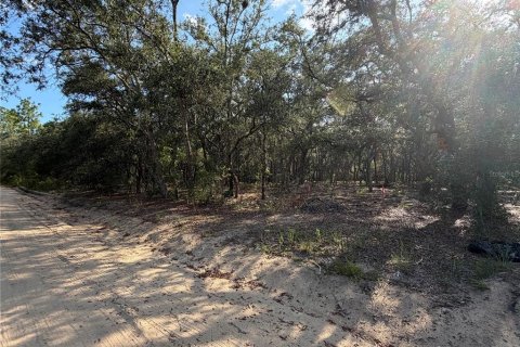 Land in Interlachen, Florida № 2199137 - photo 6