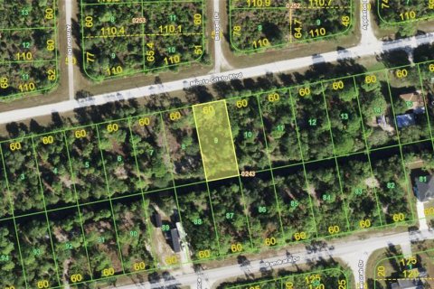 Land in Punta Gorda, Florida № 2383728 - photo 2