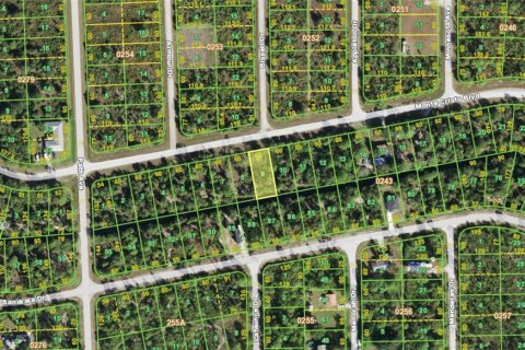 Land in Punta Gorda, Florida № 2383728 - photo 3