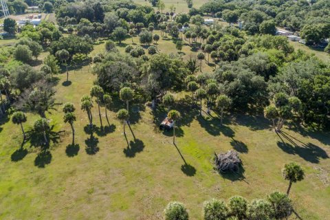 Commercial property in Moore Haven, Florida № 2173279 - photo 30