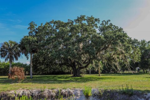 Commercial property in Moore Haven, Florida № 2173279 - photo 18