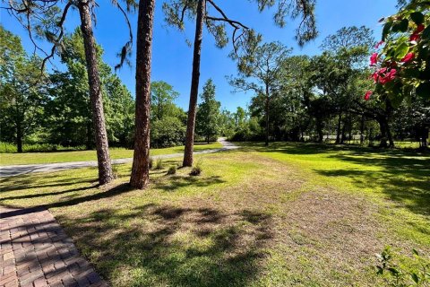 Villa ou maison à vendre à Valrico, Floride: 4 chambres, 213.12 m2 № 1630947 - photo 6