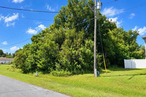 Land in Kissimmee, Florida № 2375857 - photo 3