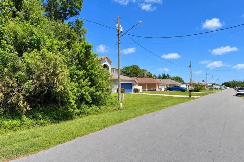 Land in Kissimmee, Florida № 2375857 - photo 2