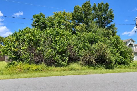 Land in Kissimmee, Florida № 2375857
