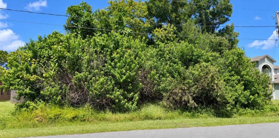 Land in Kissimmee, Florida № 2375857