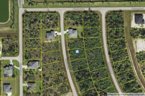 Land in Port Charlotte, Florida № 2161607