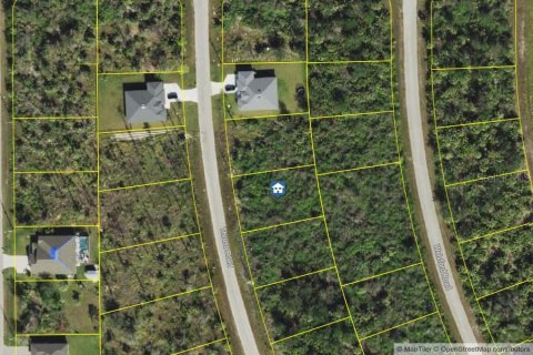 Land in Port Charlotte, Florida № 2161607 - photo 5