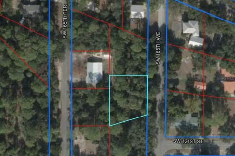 Land in Cedar Key, Florida № 518776 - photo 6