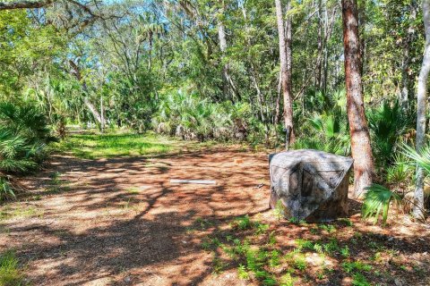 Land in Weeki Wachee, Florida № 2106264 - photo 27
